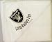 Oakland Raiders Hooded Baby Towel (White)