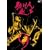 �����l���� VOL.9 [DVD]