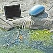Sunny Air Pump Solar Oxygenator