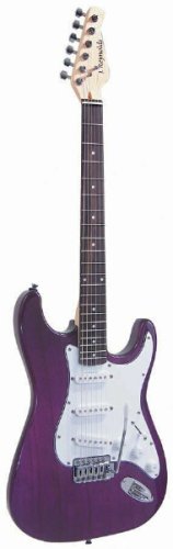 MusicalInstruments: J. Reynolds JR6TPU Double Cutaway Electric Guitar, Transparent Purple