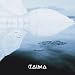 Taima