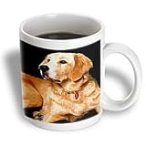 Dogs Golden Retriever - Golden Retriever - Mugs