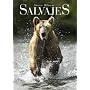 Salvajes (Naturaleza - Lunwerg) de Steve Bloom
