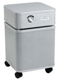 Healthmate Standard Air Cleaner