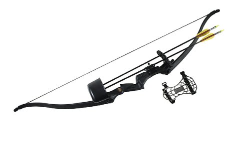 Recurve Bowset