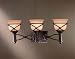 Minka Lavery Aspen II 3-Light Bath 5973-1-138