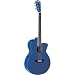 Washburn EA16 Acoustic Electric Guitar - Festival Series