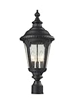 Z-Lite 545PHM-BK Outdoor Post Light by Z-Lite Lighting [並行輸入品]