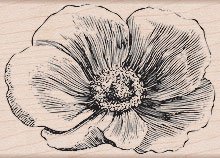 Etched Flower by Hero Arts