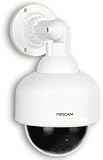Foscam FD3100
