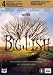 Big Fish Big Fish