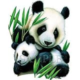 Panda & Cub Youth T-Shirt