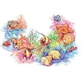 Shells & Fishes Neckline Adult Long Sleeve T-Shirt