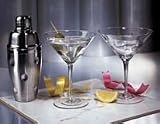 Polka Dot Cocktail Shaker 55206