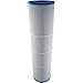 Filbur FC-2395 Antimicrobial Replacement Filter Cartridge for Rainbow/Pentair Dynamic 75 Pool and Spa Filter