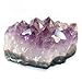 OnlineScienceMall Amethyst Quartz Geode Crystal Cluster Druzy Mineral Specimen (2 Inch)