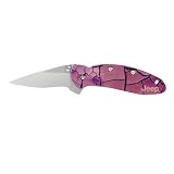 KershawKenOnionChiveJeepSpeedSafeAssistedOpeningKnife