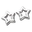 Round Brilliant Cut Diamonds, 14Kt. White Gold. Diamond Star Earrings