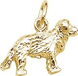 Dog: Newfoundland Charm by Rembrandt Charms