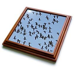 Canada Geese, Branta canadensis - 8x8 Trivet With 6x6 Ceramic Tile