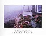 Rockport Garden, Art Poster by Andrew Basari, size 18