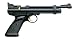 Crosman Airguns- 2240 .22 Single Shot CO2 Pellet Pistol