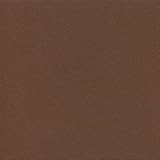 ADP Cardstock 8.5 x 11 - TEXTURED CLOVE Single Sheet