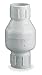 Spring Check Valve, PVC, 1-1/4 In., SLIP