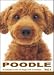   - THE DOG Notecard Vol. 1 - Poodle