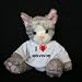 Plush Stuffed Cat (Kit Kat) toy I Love Survivor t-shirt