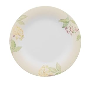 Villeroy and Boch Green Garland 8.25-Inch Salad Plate, Set of 6 by
