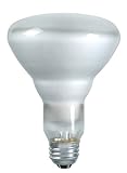 60 Watt Philips Halogena' Light Bulb