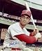 Frank Torre Autographed St. Louis Cardinals 8