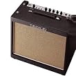 Tech21 TM10 Trademark 10 Electric Guitar Amplifier (10 Watts, 1x8 in.)