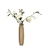 Info/Buy Magnolia in Ceramic Vase