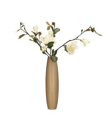 Magnolia in Ceramic Vase