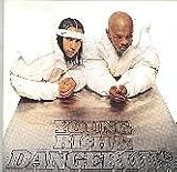 Young Rich and Dangerous