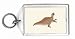All Products : Ouranosaurus Keychain