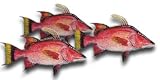Hog Snapper Fillet, 1 Pound