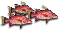 Hog Snapper Fillet, 1 Pound