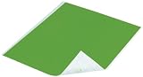Duck Tape Single Sheets 8.65X10