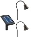 Solar Light 21in Tulip Light 2 pk