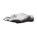 Areaware HAROF Offer Hand Hook