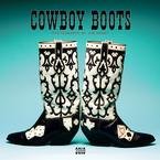 Cowboy Boots 2010 Wall Calendar
