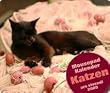 Mousepad-Kalender Katzen 2009.