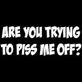 Are you trying to piss me off? Funny T-shirt Oneliner