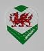 3 sets Dimplex Welsh/Wales Standard flights