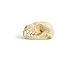 Fruit Bat Skull 1-2