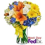 Flowers - Niagara