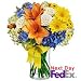 Flowers - Niagara